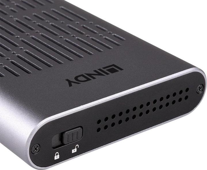 Actual product image Lindy Dual (M.2)