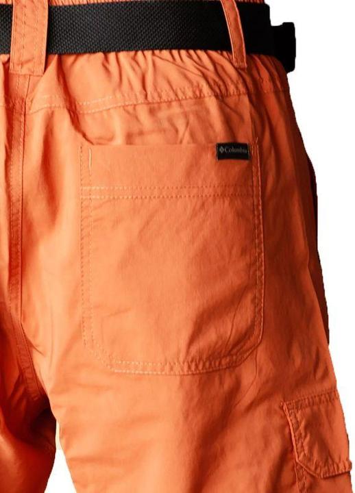 Image du produit Columbia Short Cargo Silver Ridge™ Utility Homme (36)