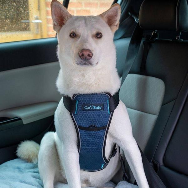 Produktbild Company of Animals CarSafe Autogeschirr Crash-getestet (Hund, Reflektoren)