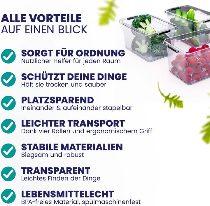 Produktbild Deuba Aufbewahrungsbox (20 x 15 x 12 cm, 2 l)