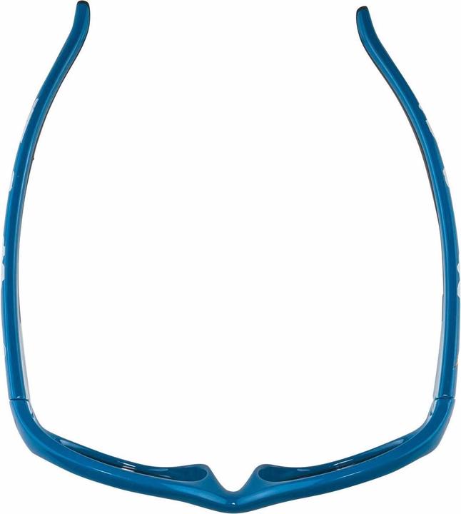 Immagine prodotto ALPINA SPORTS Flexxy