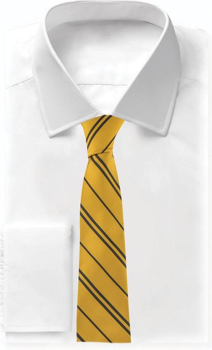 Actual product image Cinereplicas Harry Potter: Hufflepuff