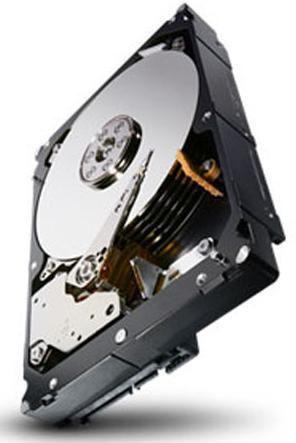 Immagine prodotto Seagate 1TB 64MB 7200RPM 24x7 (1 TB, 3.5")