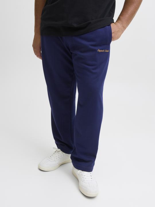 Produktbild Jack & Jones Plus Size Relaxed Fit Relaxed Fit Hosen Relaxed Fit Hosen (42)