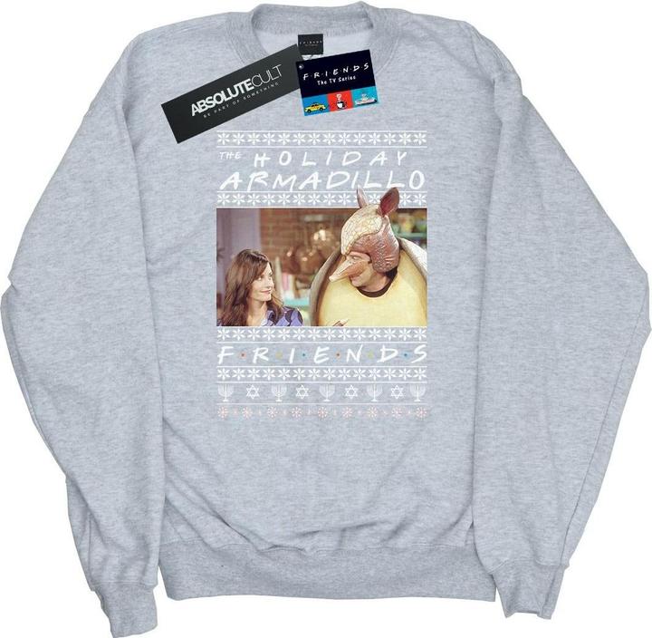 Friends Fair Isle Holiday Armadillo Sweatshirt (S)