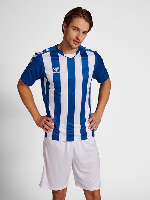 Actual product image hummel Core Xk Striped Jersey S/S (XXL)