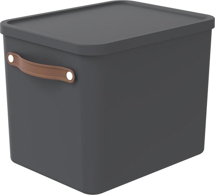 Image du produit Rotho Maloja (40 x 29 x 29.5 cm, 27 l)