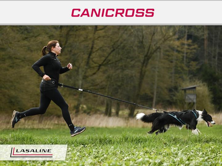 Produktbild Lasaline Hunde Zuggeschirr X Back für Canicross (XS, Hund, Hundesport)