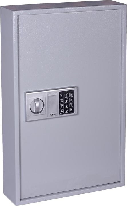 Actual product image Olympia Olympus safe GOsafe 50C with code