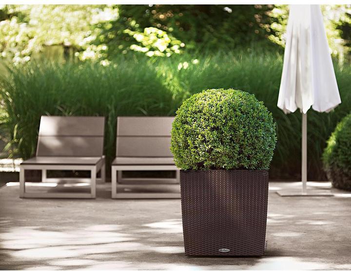 Actual product image Lechuza Cube Cottage (49 cm)