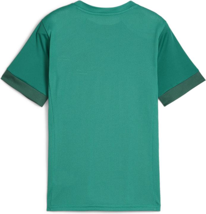 Image du produit Puma teamGOAL Matchday Jersey jr (152)