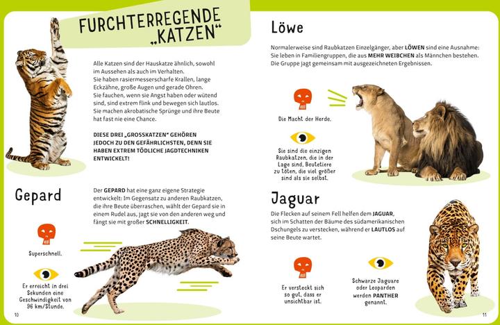 Produktbild National Geographic Die tödlichsten Tiere. Ein aufregendes Count-Down der gefährlichsten Tiere (Top Ten) (Deutsch, Massimo Miato, Cristina Banfi, 2024)