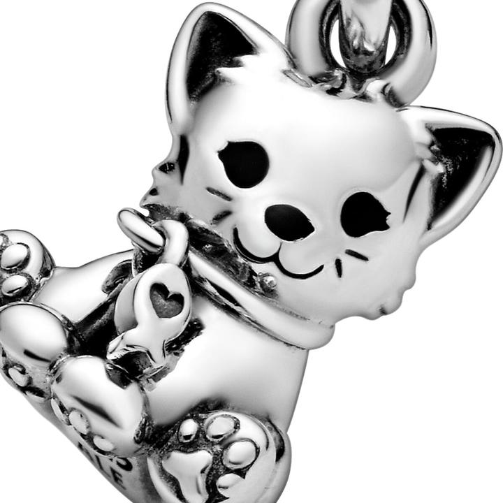 Immagine prodotto Pandora Cane Labrador (Argento 925)