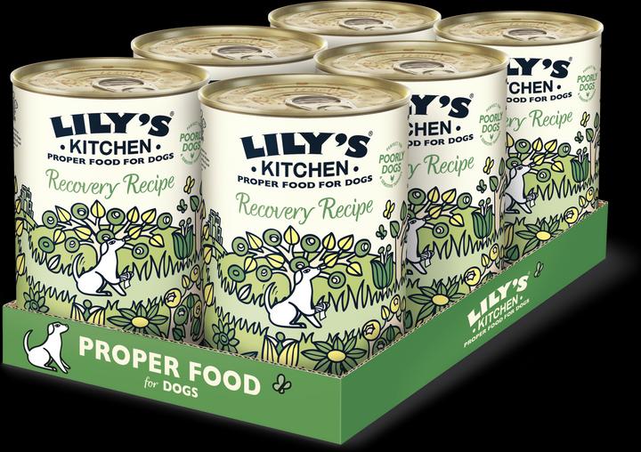 Produktbild Lily's Kitchen Recovery Recipe (Adult, 1 Stk., 2760 g)