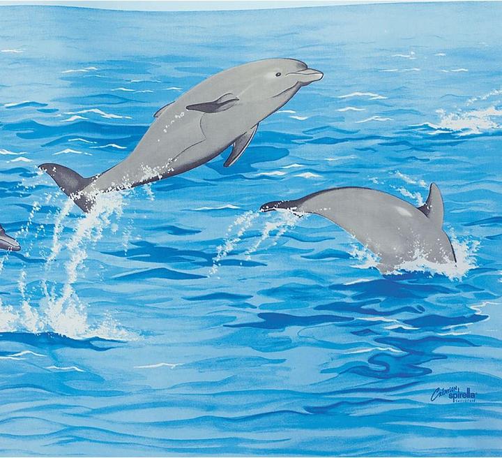 Actual product image spirella Nemo (180 x 200 cm)
