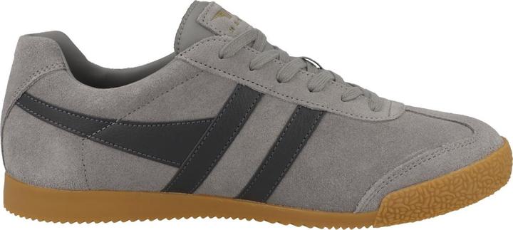 Immagine prodotto Gola Harrier - 64563 (45)