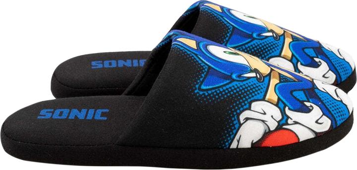 Actual product image Sonic The Hedgehog Slippers (45.5)