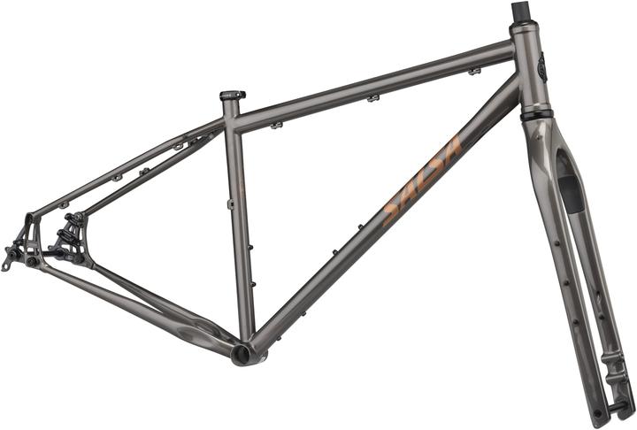 Salsa Fargo Frame Set, 29", M, black