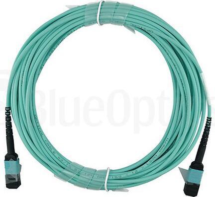 Actual product image BlueOptics Telesis AT-MTP12-7 compatible MTP-MTP OM3 patch cable 7.5 metres