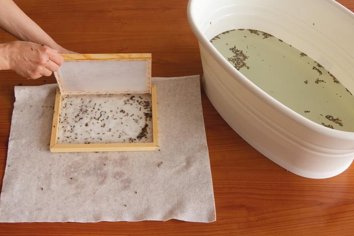 Immagine prodotto Stafil Telaio di carta a forma di pallina