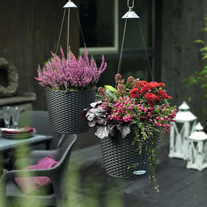 Actual product image Lechuza Nido Cottage (27 cm)