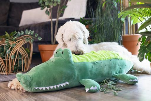 Image du produit Beeztees Hundespielzeug Krokodil
