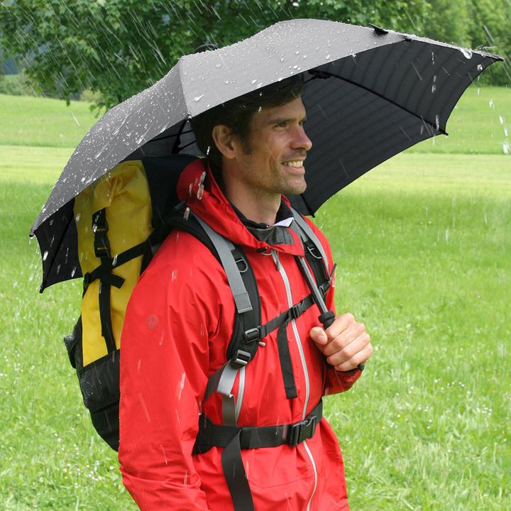 Actual product image Euroschirm birdiepal octagon