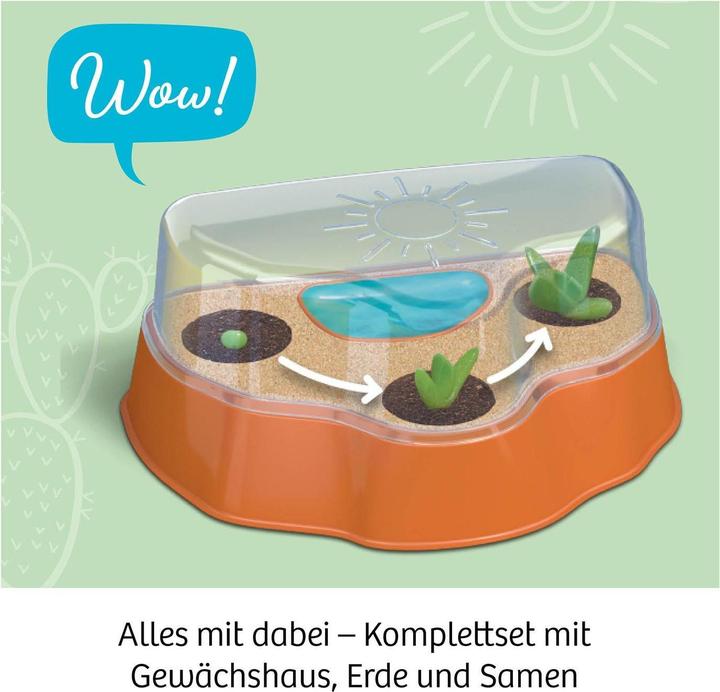 Image du produit Kosmos Désert de cactus