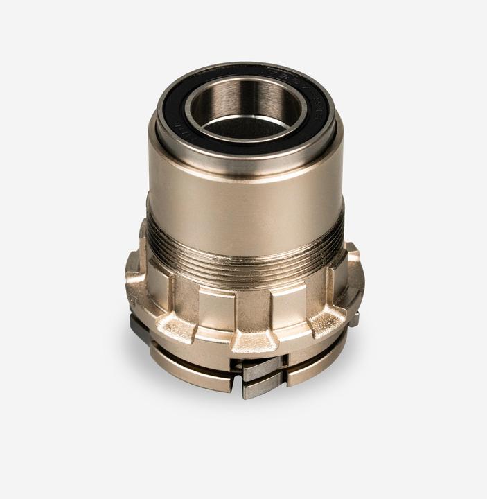 Van rysel Corps de roue libre XDR D100
