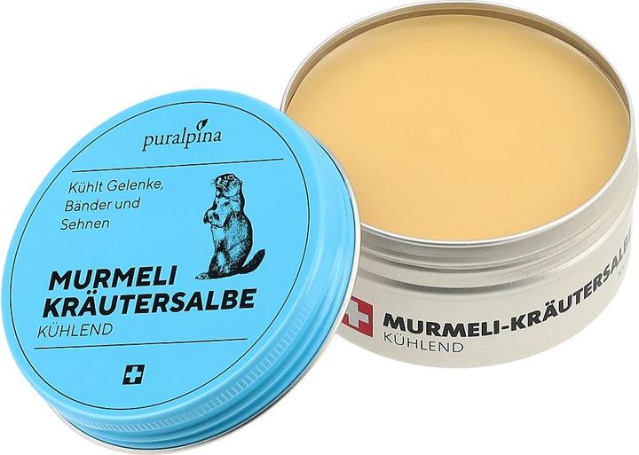 Actual product image Puralpina Murmeli Herbal Ointment (1 x, 100 ml, 110 g)