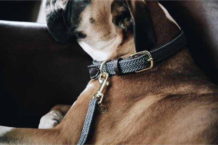 Produktbild Kentucky Dogwear Hundehalsband Nylon geflochten (L, Hund, Allgemein)