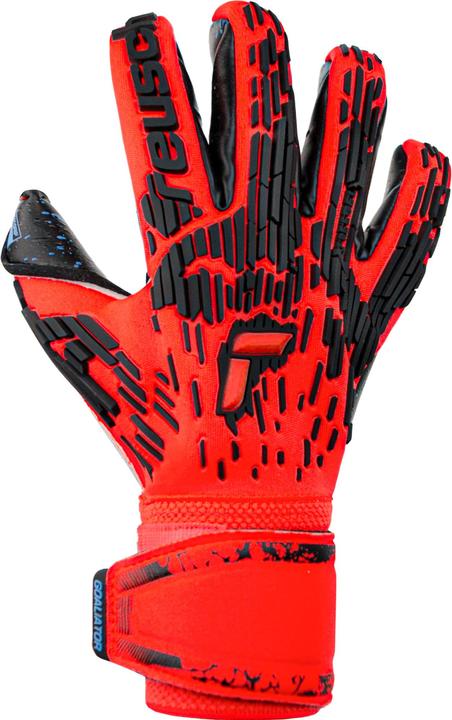 Produktbild Reusch Attrakt Freegel Fusion Goaliator Torwarthandschuhe (11)