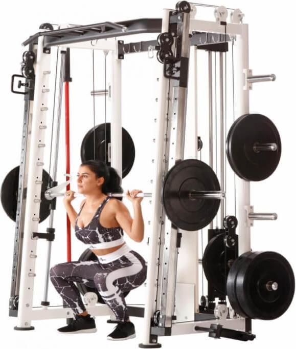 Actual product image Maxxus gym