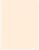 Actual product image Dior Forever Skin Correct (0N Neutral)