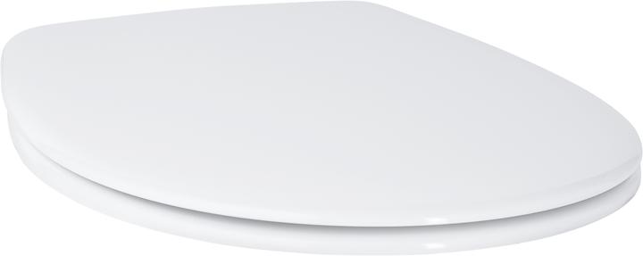 Actual product image Grohe Construction ceramic toilet seat with soft close