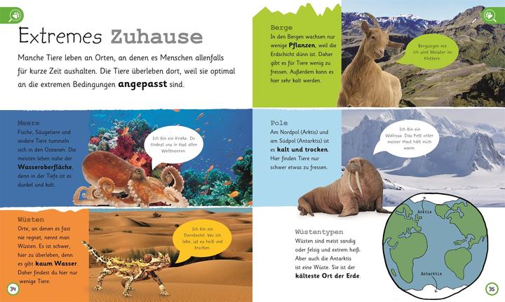 Actual product image Was weisst du über Tiere? (German, Frauke Bahle, Frauke Bahle|DK Verlag - Kids, 2018)