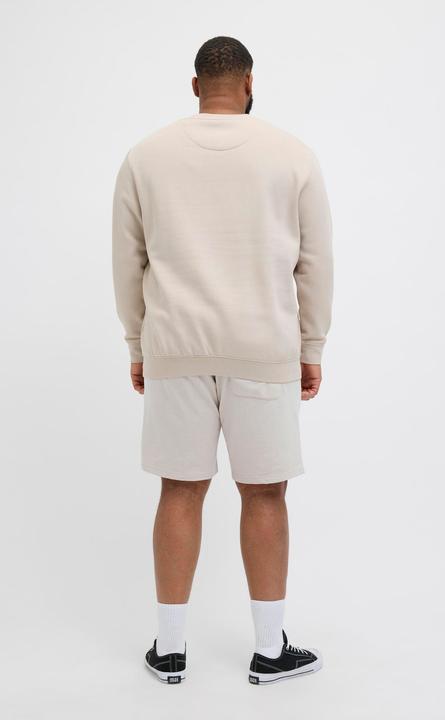 Actual product image Jack & Jones Plus Size Loose Fit Sweat-Shorts Sweat-Shorts (42)