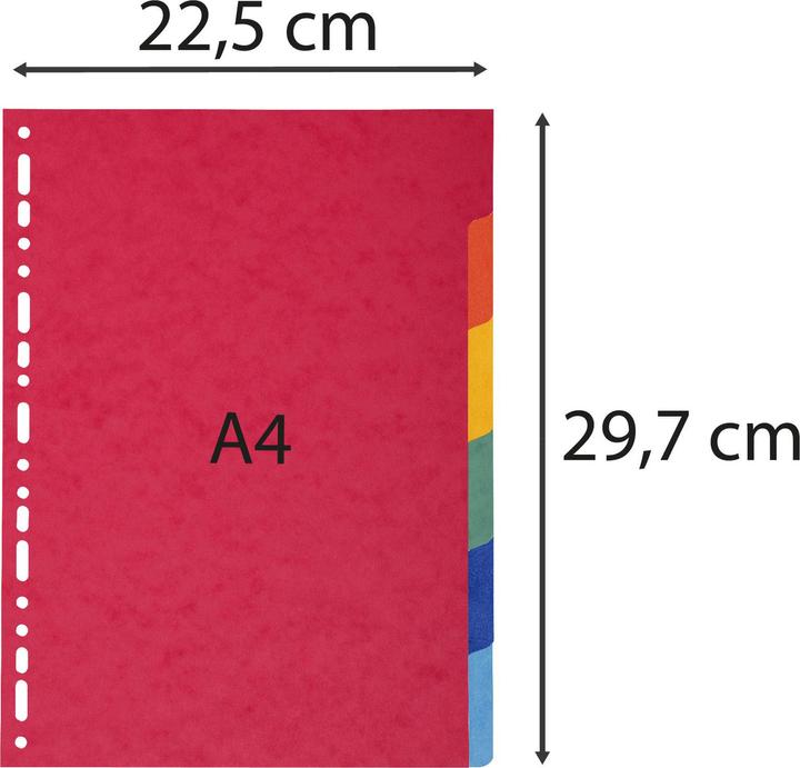 Immagine prodotto Exacompta Registro in bianco - cartone