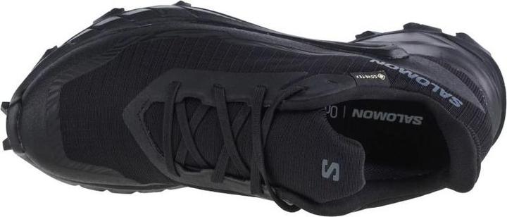 Produktbild Salomon Alphacross 5 GTX (39 1/3)