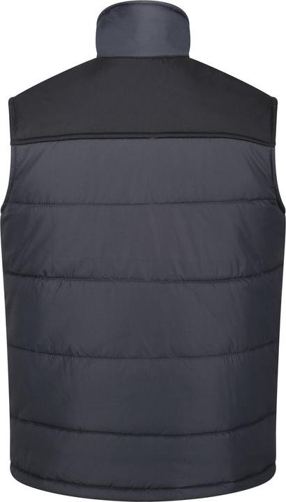 Produktbild Regatta UTRG1619 P (XL)