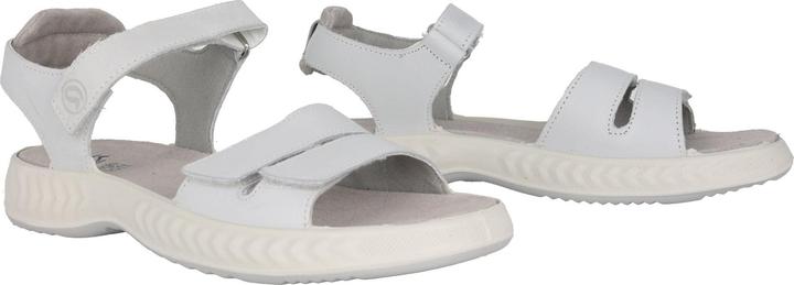 Actual product image Ara Avio-S (40)