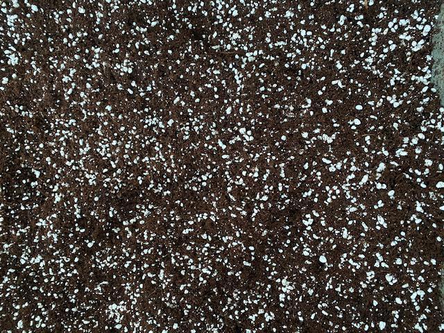 Actual product image PlantaPlus Growmix" peat-free plant substrate with perlite (50 l, Coco Slab)