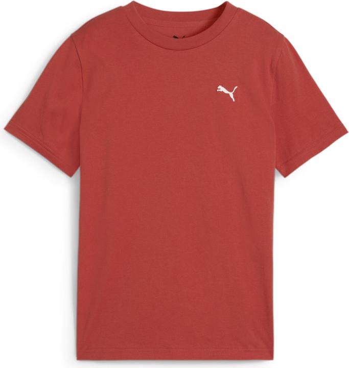 Puma Wardrobe Ess Tee B (152)