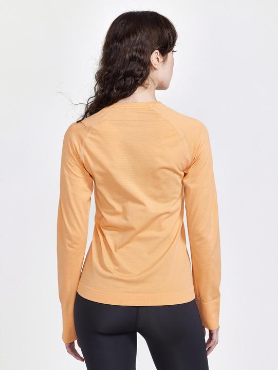 Actual product image Craft Core Dry Active Comfort underwear (L)
