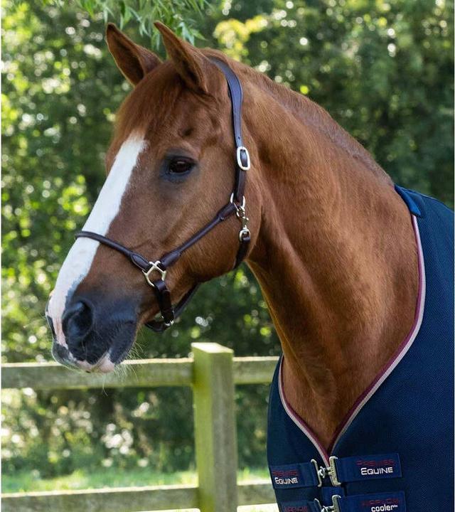 Actual product image Premier Equine Airflow Cooler (198 cm)