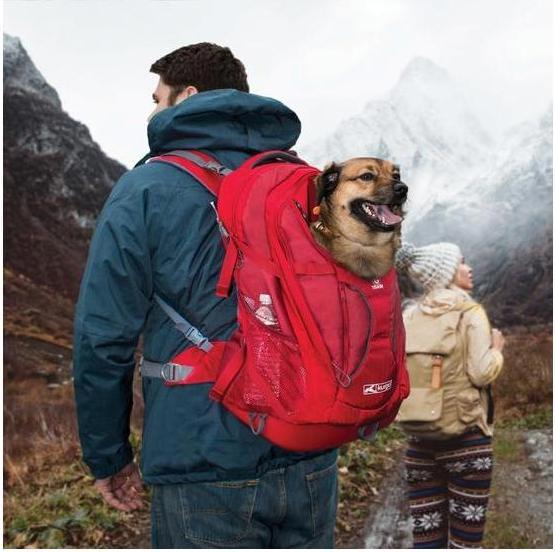 Actual product image Kurgo G-Train K9 (Dog, Safety closure)