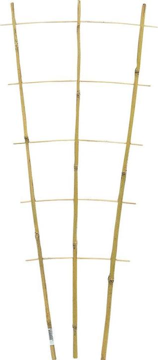 Siena Garden Pflanzenhalter (85 cm, 33 cm)