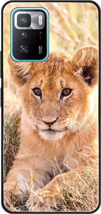 Lions baby