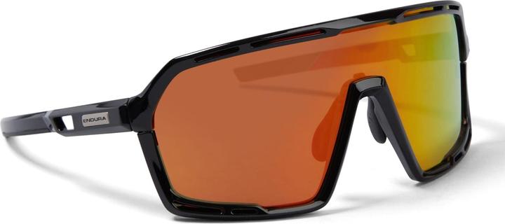 Endura Pro Sl Glasses Bk (Schwarz, Diverse Farben)
