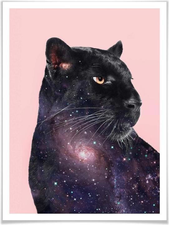 Produktbild Trenddeko Loose – Galaxy Panther (50 x 60 cm)